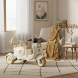 אחים XW06 – קטנוע חשמלי3 גלגלים